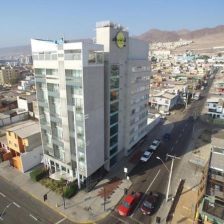 安托法加斯塔-奥托索尔科斯塔内拉酒店 外观 照片